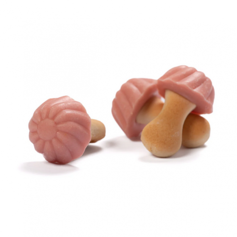 Setas Fresa 1kg